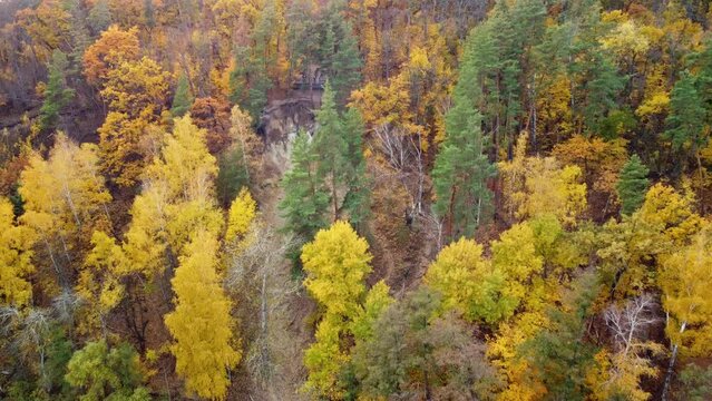 Autumn aerial dolly forward of viewing point on Cossack mountain in colorful forest. Korobovy Hutora (Koropove village) on Siverskyi Donets River in Ukraine