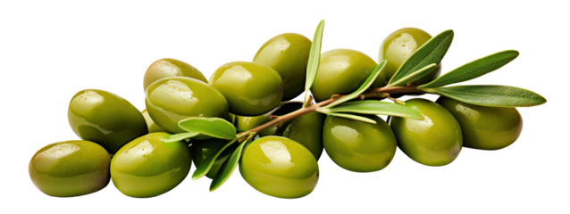 Delicious olives with leaves, cut out