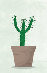 Houseplants indoor cactus flat illustration