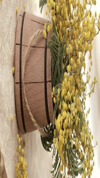 Mimosa plant in a wooden barrel