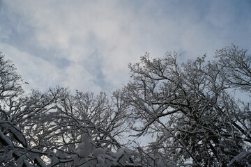Blauweißer Himmel im Winter