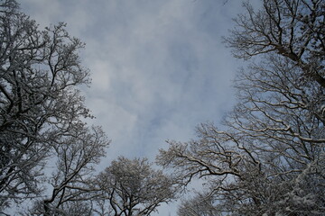Blauweißer Himmel im Winter