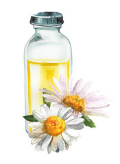 Camomile essential oil in a bottle for cosmetics,relaxing,massage. Watercolor Flower aroma oil. Perfume concept design. 