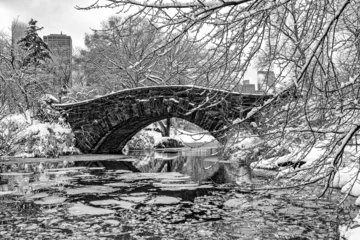 Afwasbaar behang Gapstow Brug Gapstow Bridge in Central Park,snow storm