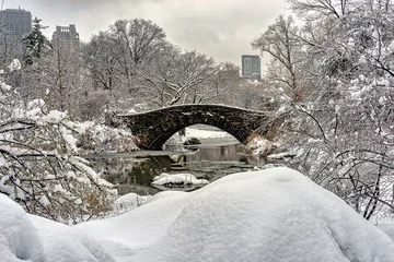 Keuken foto achterwand Gapstow Brug Gapstow Bridge in Central Park,snow storm