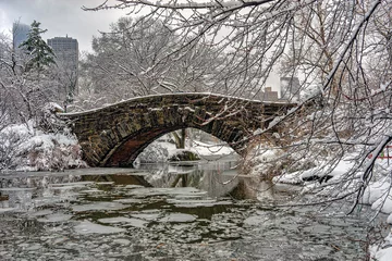 Foto op Plexiglas Gapstow Brug Gapstow Bridge in Central Park,snow storm