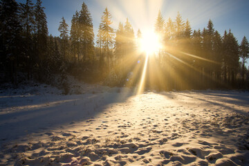 sunrise in winter