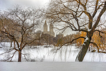 Central Park in winter after snow storm