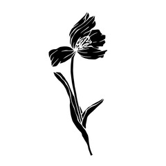 Silhouette of spring tulip flower.Decorative botanical element.Vector graphics.