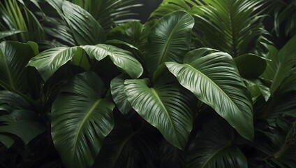 background with green tropical plants and leaves