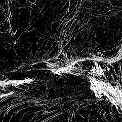 Dark grunge urban texture vector. Distressed overlay texture. Grunge background. Abstract obvious dark worn textured effect. Vector Illustration. Black isolated on white. EPS10.