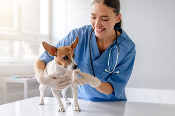 Vet administers treatment to attentive dog