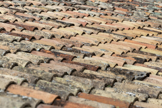 Photo Picture of Tiles on the Building Roof Texture. France