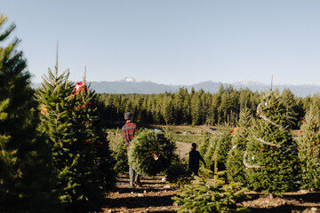 Dad and son at Christmas tree farm. 