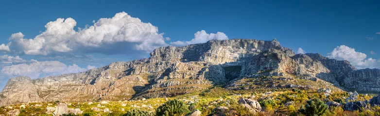 Papier Peint photo Montagne de la Table  low angle view looking up of table mountain ,cape town, western province, south africa, africa