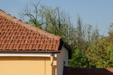 roof and construction detail, roof with double pitch and self-fitting flat tiles, Marseille model.