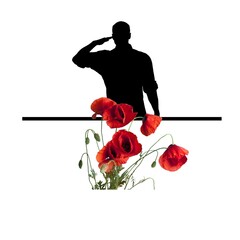 The remembrance Day background. Solder and poppy flowers