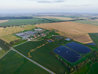 Agricultural business of industrial pig farms and fields