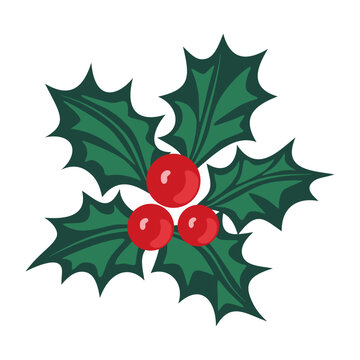 Christmas holly berry. Symbol of Christmas and New Year. Vector illustration.