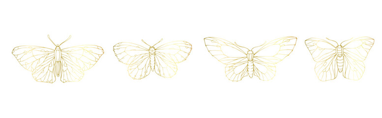 Collection of golden decorative winged insects, butterflies, night moths.Vector graphics.