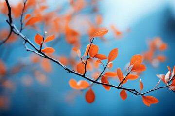 Vivid orange leaves on a delicate branch contrast against a soft blue background, highlighting the beauty of autumn.