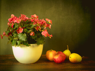 Still life with Begonia flower and fruits apples and pomegranates. - 688219148