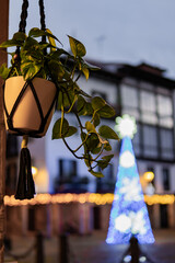 Plants adorn urban square decor.