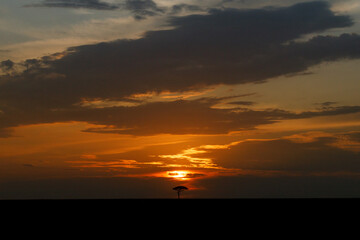 A beautiful landscape photo shot in Masai Mara Kenya, the photo also shows vast dramatic sky at sunset