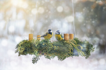 Two tits sitting on an advent wreath hanging in the garden and filled with birdseed as an...