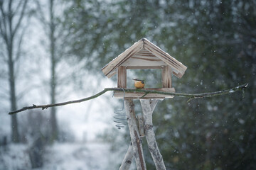 Nuthatch (Sitta europaea) in a wooden bird feeder house in the garden in cold snowy weather in winter, copy space, selected focus