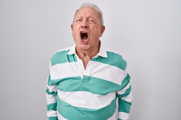 Senior man with grey hair standing over white background angry and mad screaming frustrated and furious, shouting with anger. rage and aggressive concept.