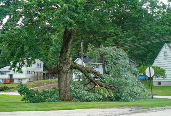 Dangerous fallen tree branch in residential neighborhood caused by storm © nd700