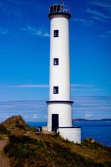 Faro 6