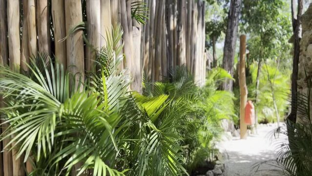 Mexico Yoga Cenote and Snorkeling