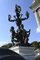 Photo sur Plexiglas Pont Alexandre III Statue et lampadaire du pont Alexandre III, Paris