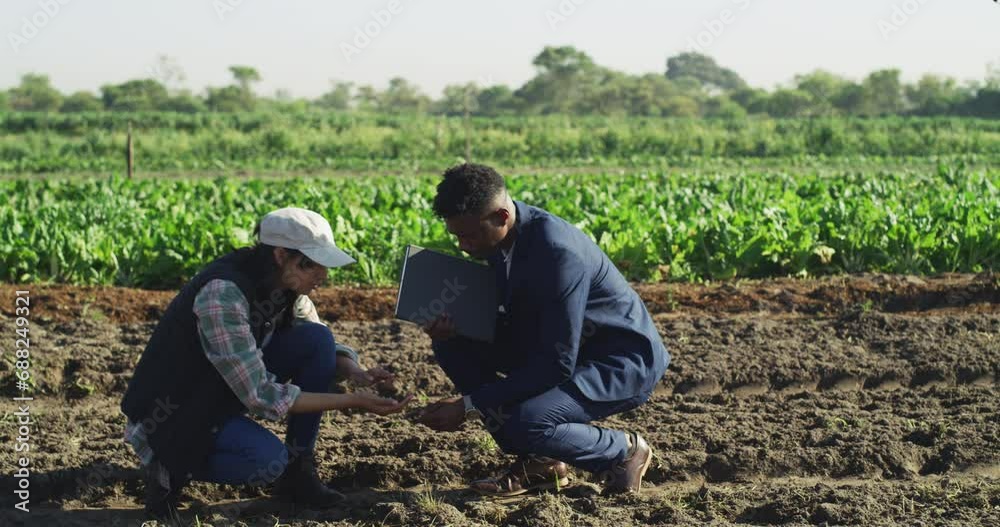 Poster Businessman, woman or farmer in crop inspection, soil check or agriculture negotiation. Talking worker, garden and farming field employee in plant growth, sustainability or planning food in nature