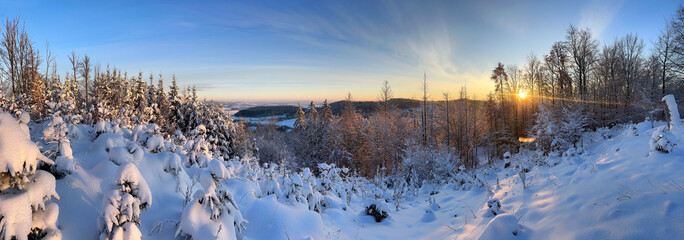 View point in the forest during winter. Morning landscape. Forest is covered by snow.