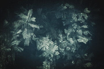 Snow crystals close-up