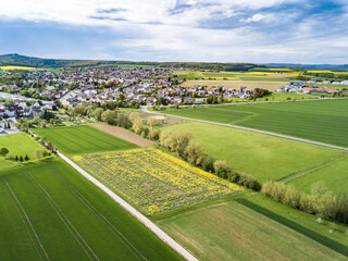 Aerial shot from Landscape in springtime