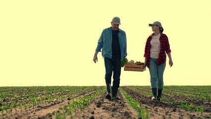 Man woman with box of vegetables in field sunset. Growing organic food. Farmers in field carrying...