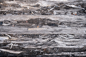 Old Worn Out Weathered Wooden Planks Texture of cracks and scuffs. Space for text.