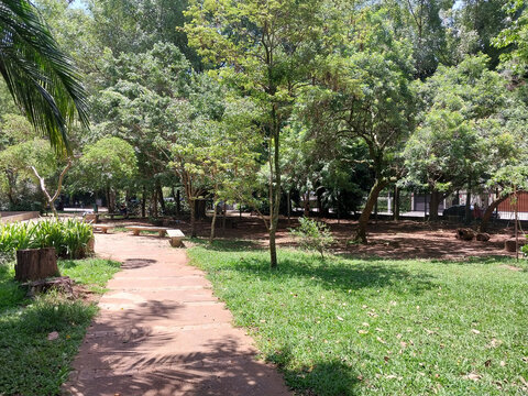 Severo gomes Park - Chacara Santo Ant&ocirc;nio- S&atilde;o Paulo 