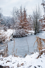 frozen pond, snow-covered trees and plants around pond, frosty landscape, winter fairytale landscape