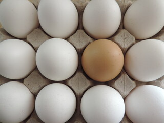 Rejilla de huevos blancos y un huevo rojo