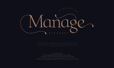 Manage premium luxury elegant alphabet letters and numbers. Elegant wedding typography classic serif font decorative vintage retro. Creative vector illustration