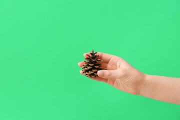 Female hand with pine cone on green background