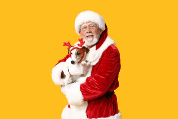 Santa Claus with cute Jack Russell Terrier dog in reindeer horns on yellow background