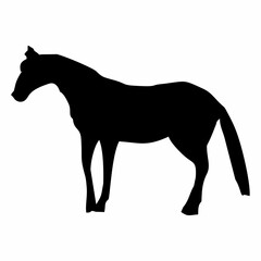 silhouette of a standing horse in black