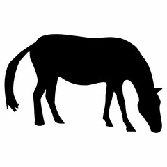 silhouette of a standing horse in black