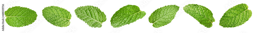 Wall mural many fresh mint leaves isolated on white